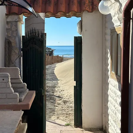 Cottage 아파트 토르바이아니카